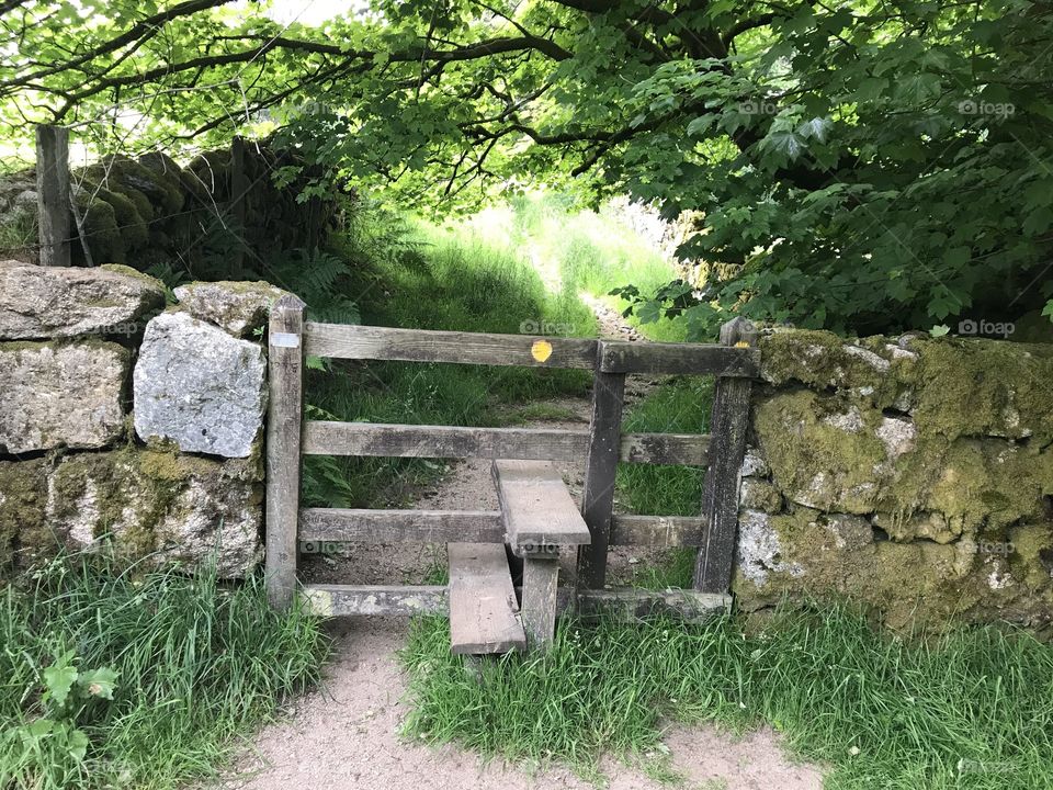 Summer sunshine is bursting through this countryside pathway, giving a rather lovely green glow
