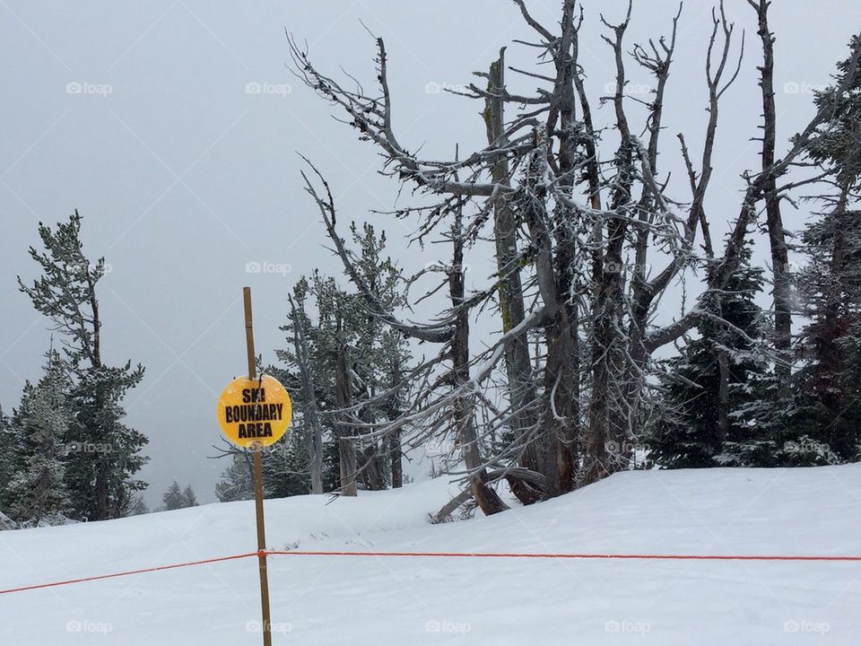 Ski boundary 