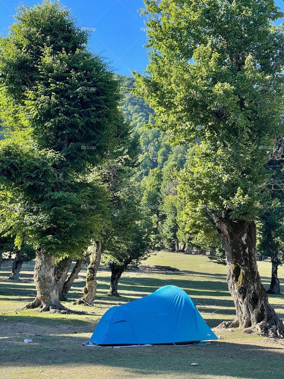 Best camping for ever, Iran, Golestan