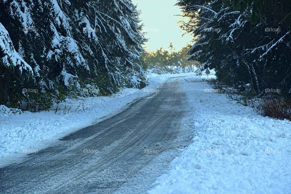 forest road in winter in Auvergne, France