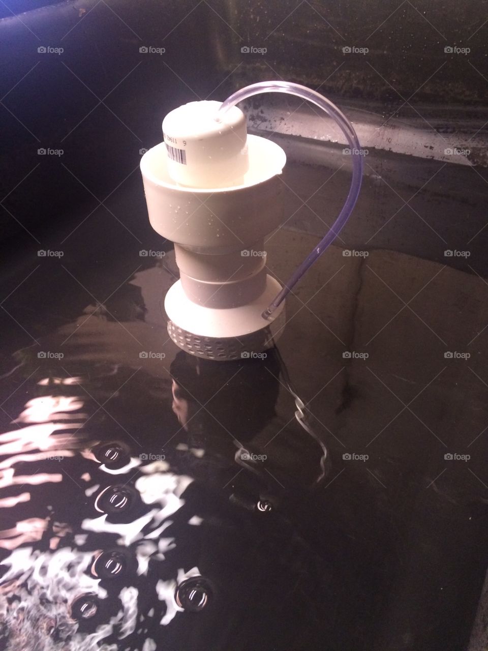 Bell siphon with snorkel and gravel guards.