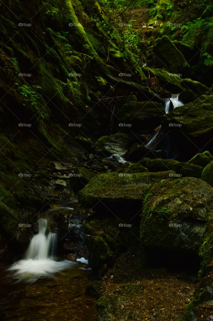 Scenic view of waterfall