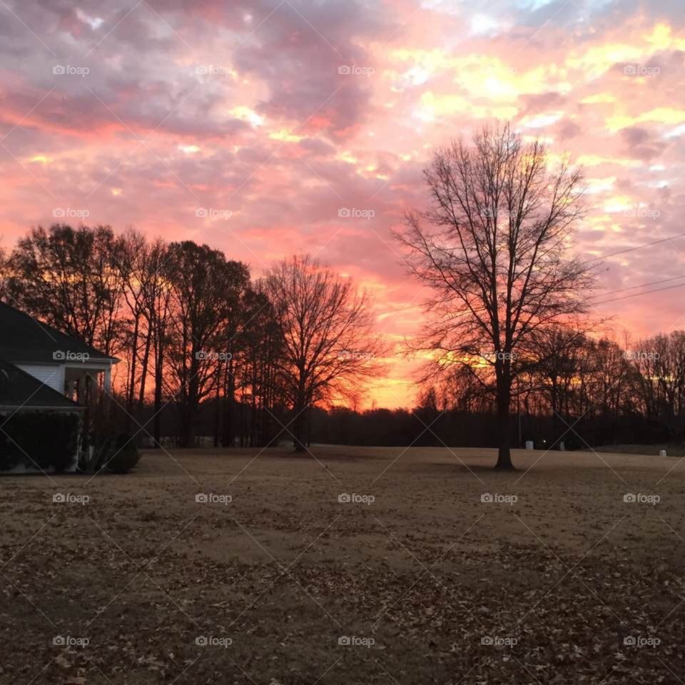 Beautiful sunrise 