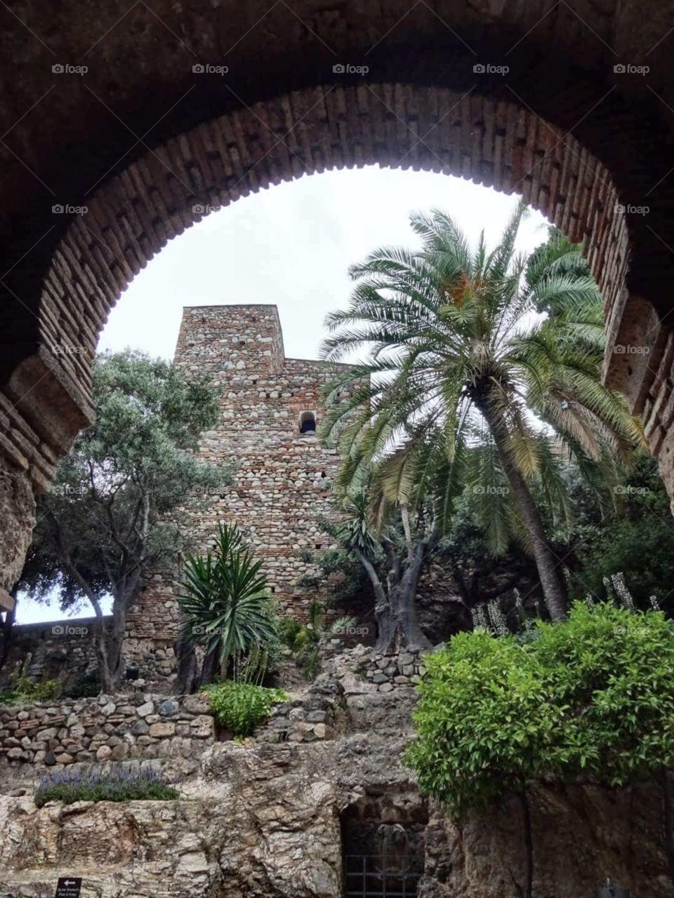 Malaga palace