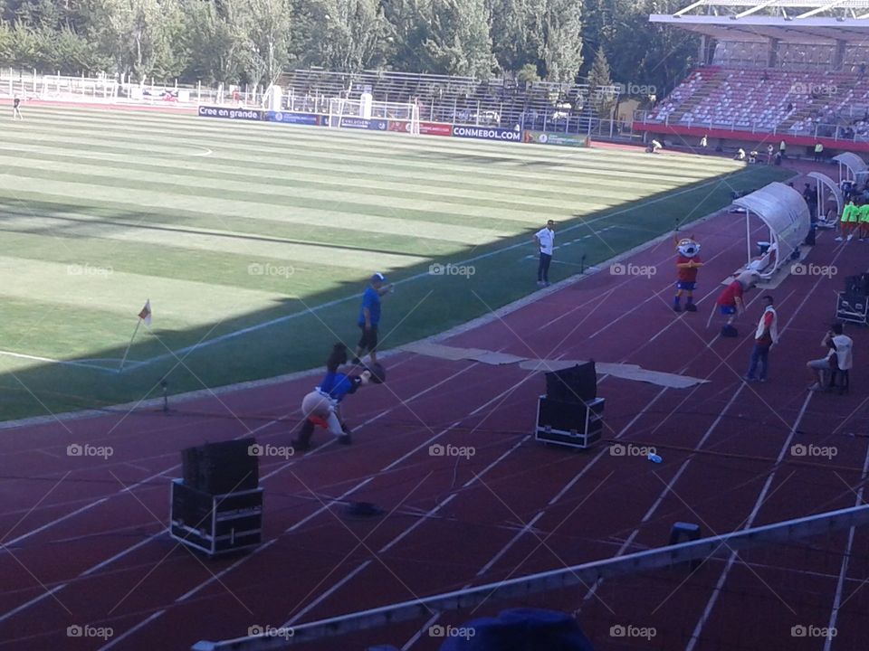 mascotas bailarinas