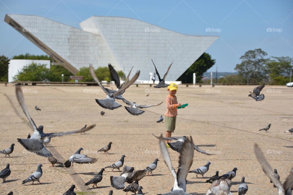 Kid feeding pigeons 