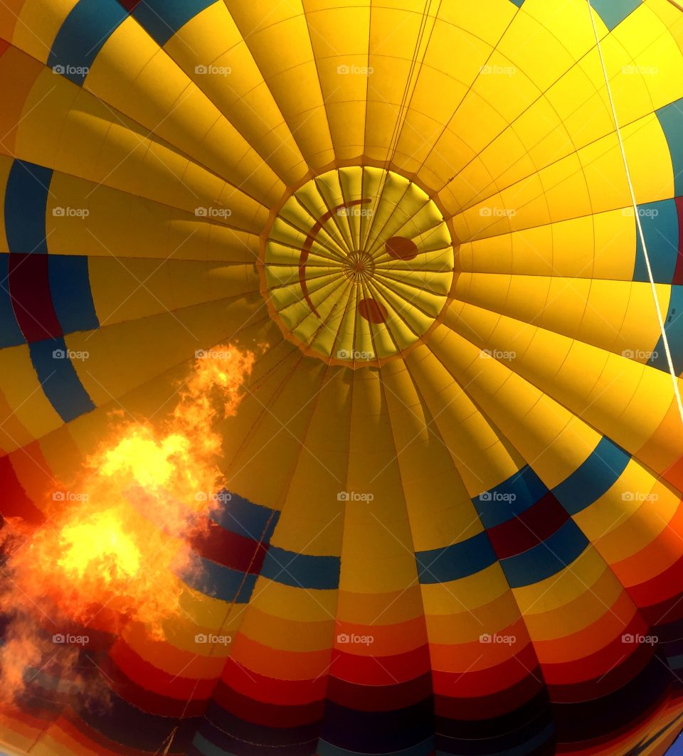 Hot air balloon ride 