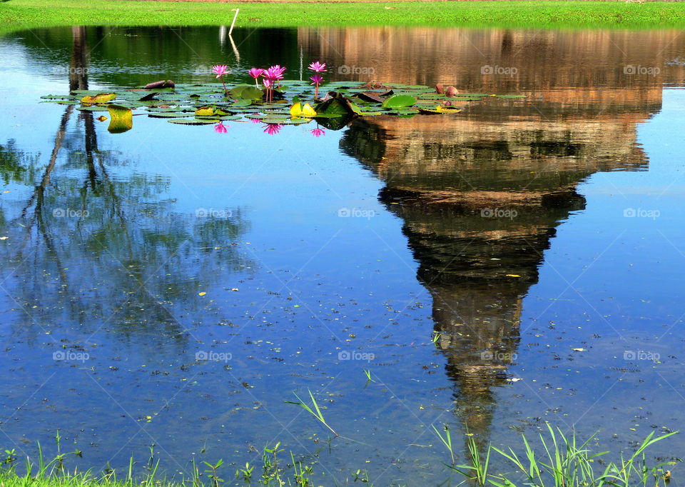 laotian temple reflecting into the water with colored flowers