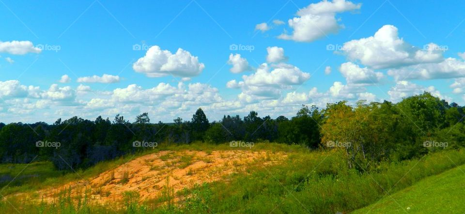 Green landscape with blue sky