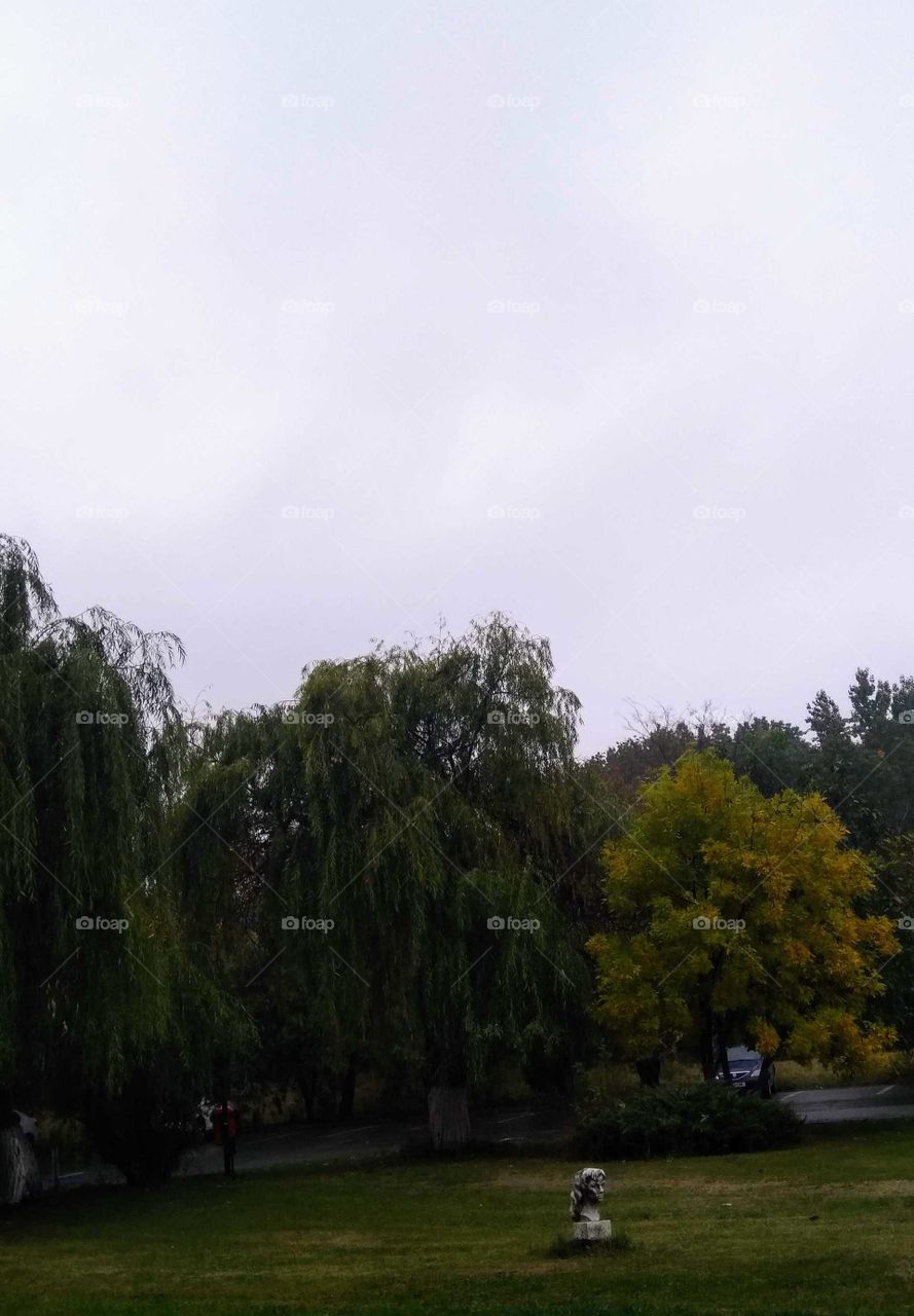 A cloudy autumn day