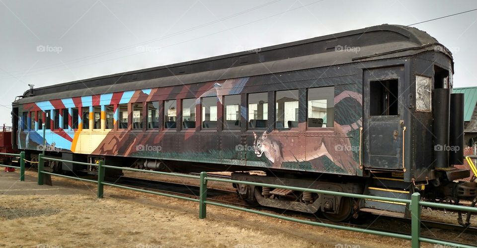 Painted Train...