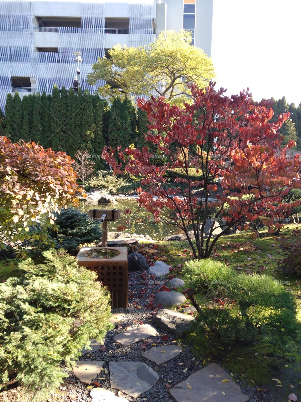 Fall in the gardens