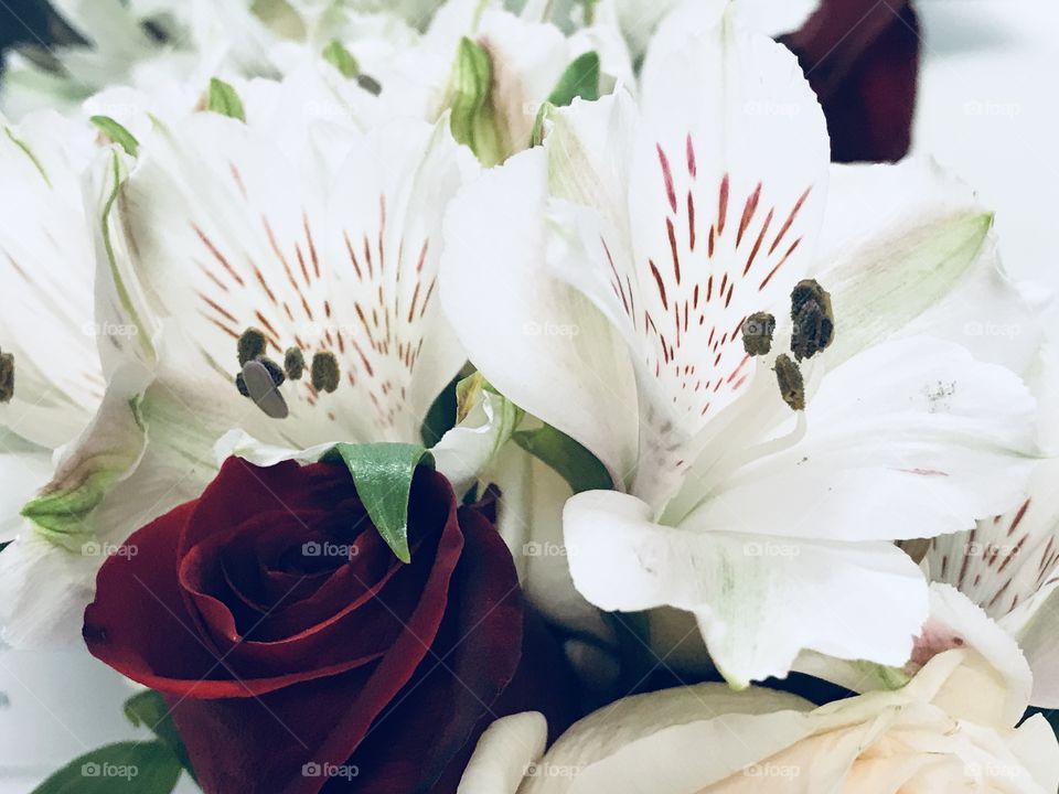 Rose & alstroemeria floral bouquet 