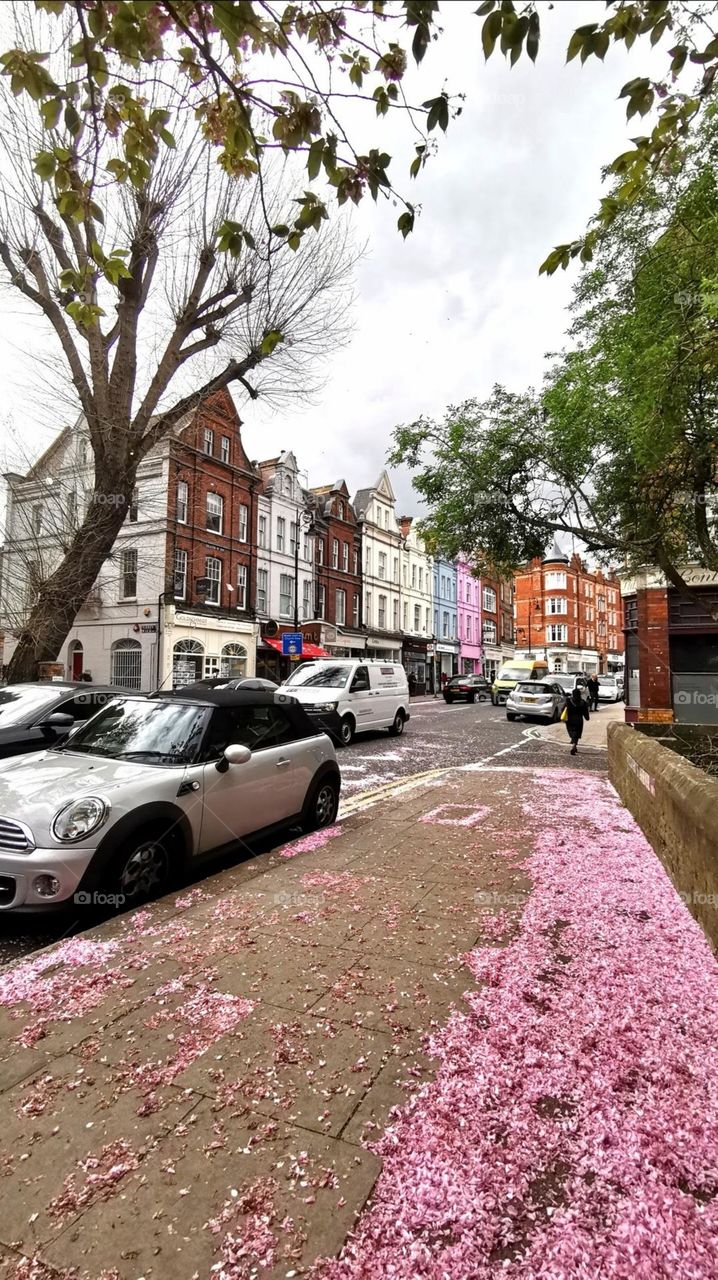 Spring in the London city.