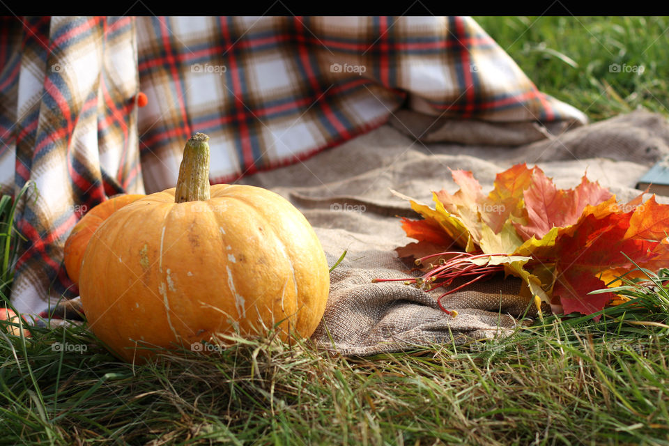 pumpkin, plaid and leaves