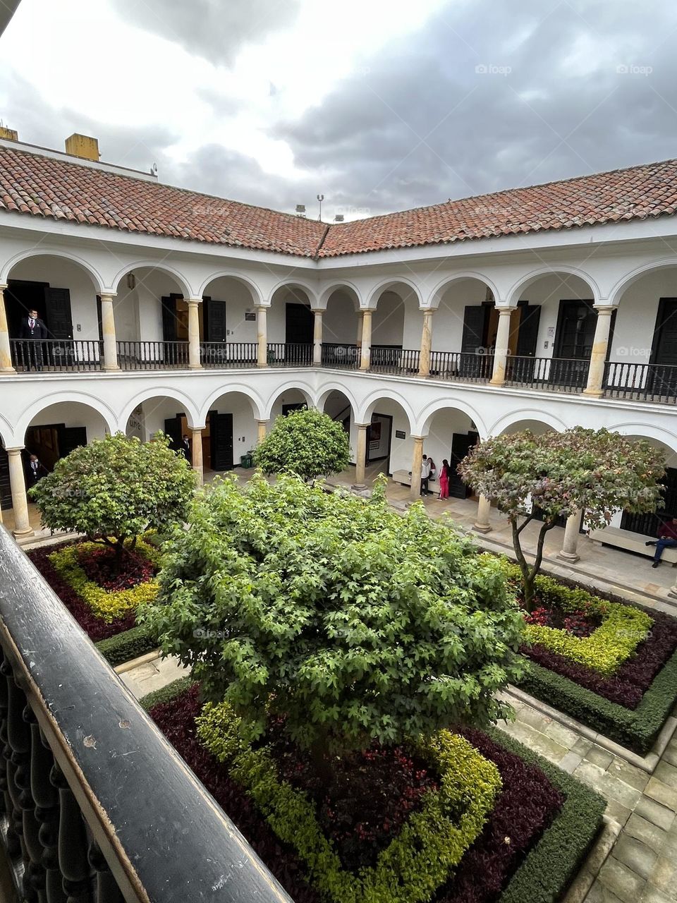 Urban plants on the museum 