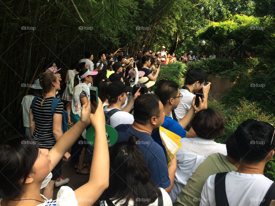 Asian crowd taking photos outdoor at a zoo