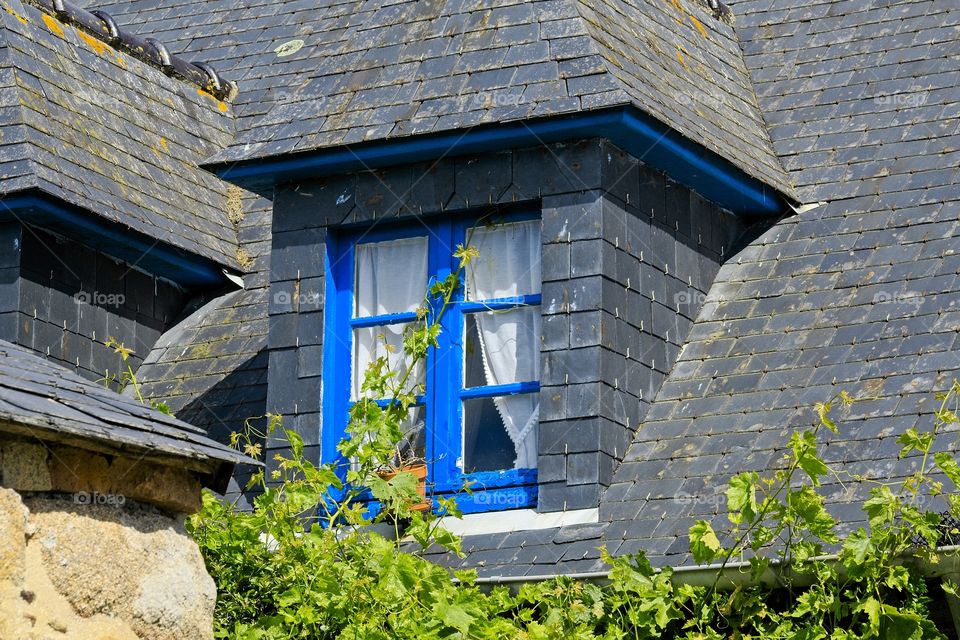 old house with window