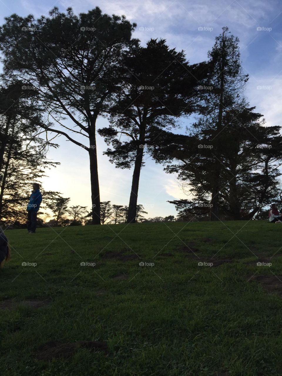 View of hippie hill