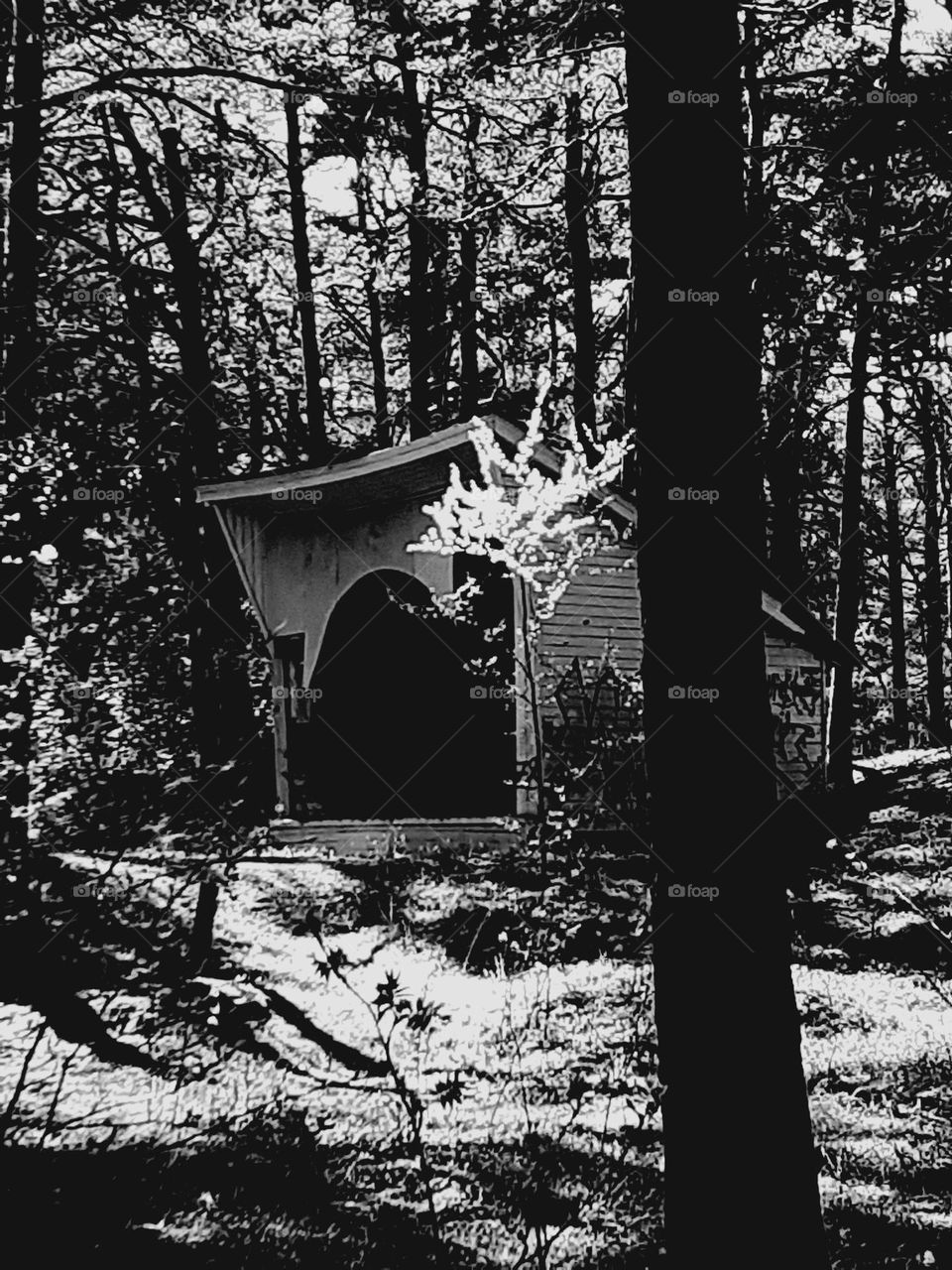 Заброшенная сцена в лесу