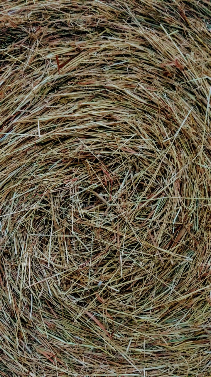 The Hay Bale