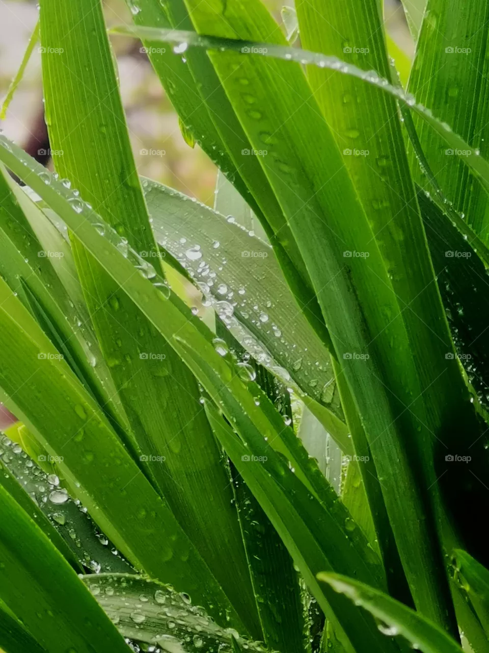 Raining on a Monday