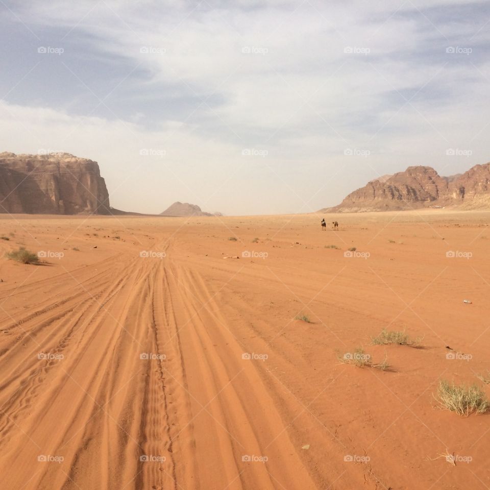 Scenic view of desert landscape