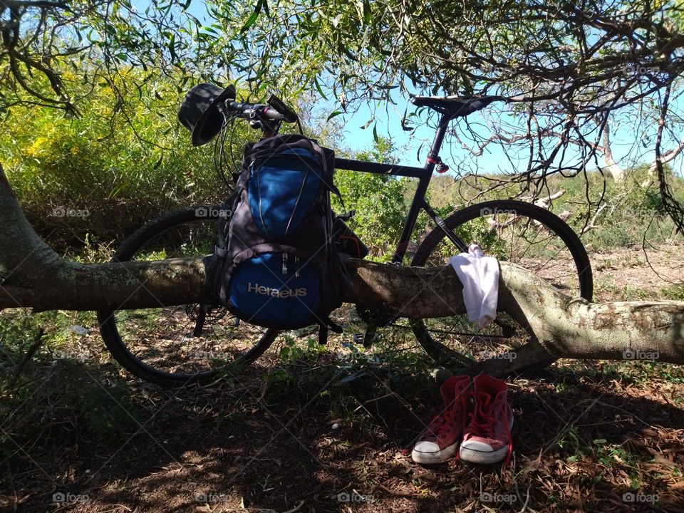 Bike in a natural place