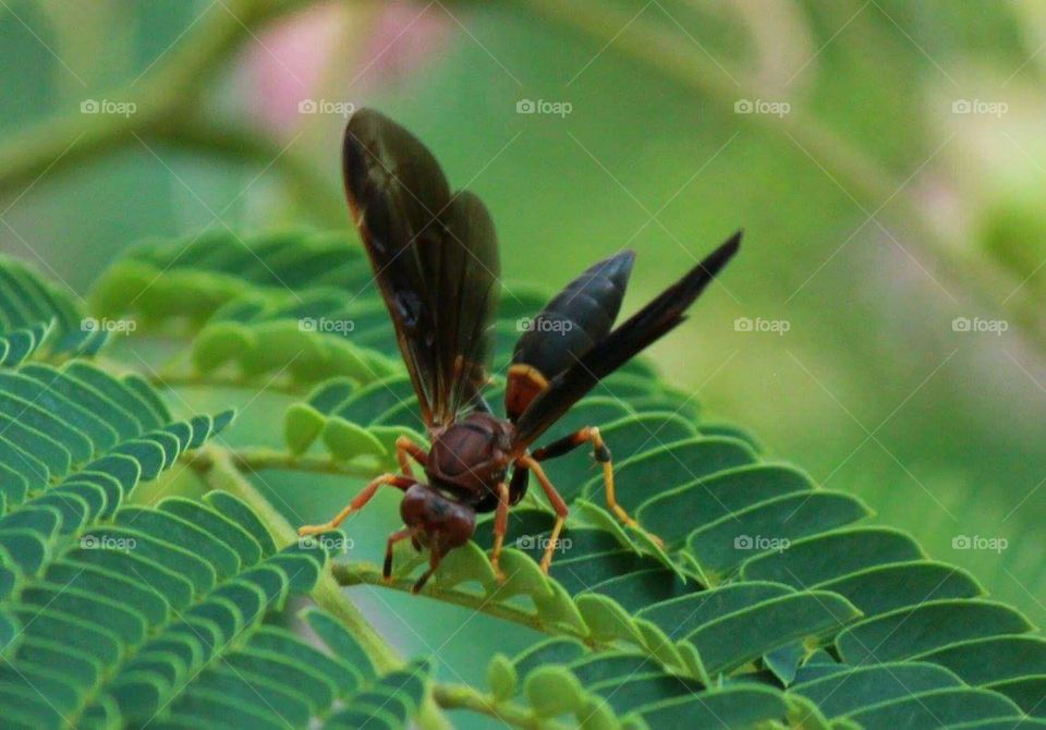 A very common sight around our house.