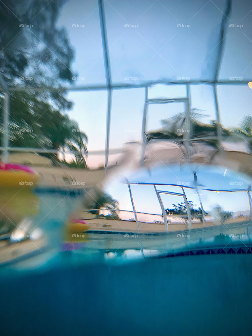 Pool Reflection Of Fence and Backyard Trees From Half Submerged Camera In The Pool.