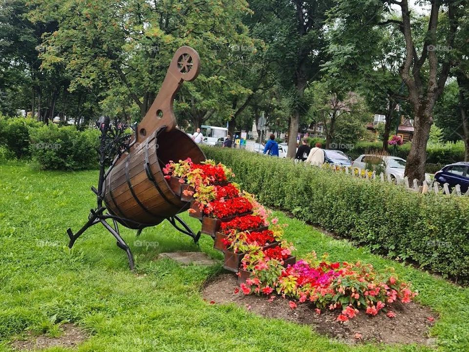 Landscape of flowers and nature