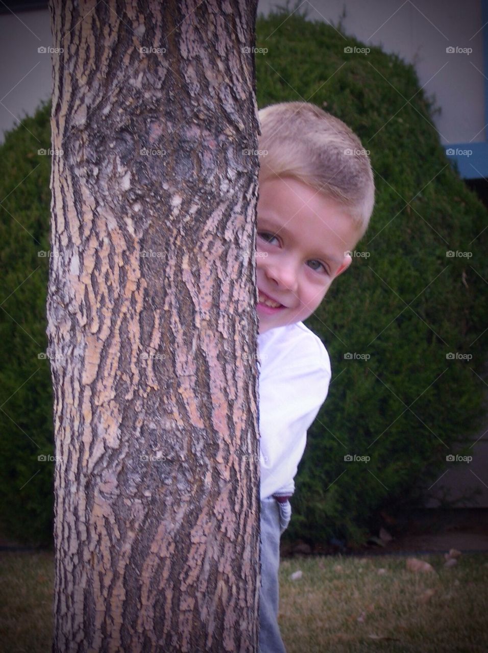 Peeking around tree