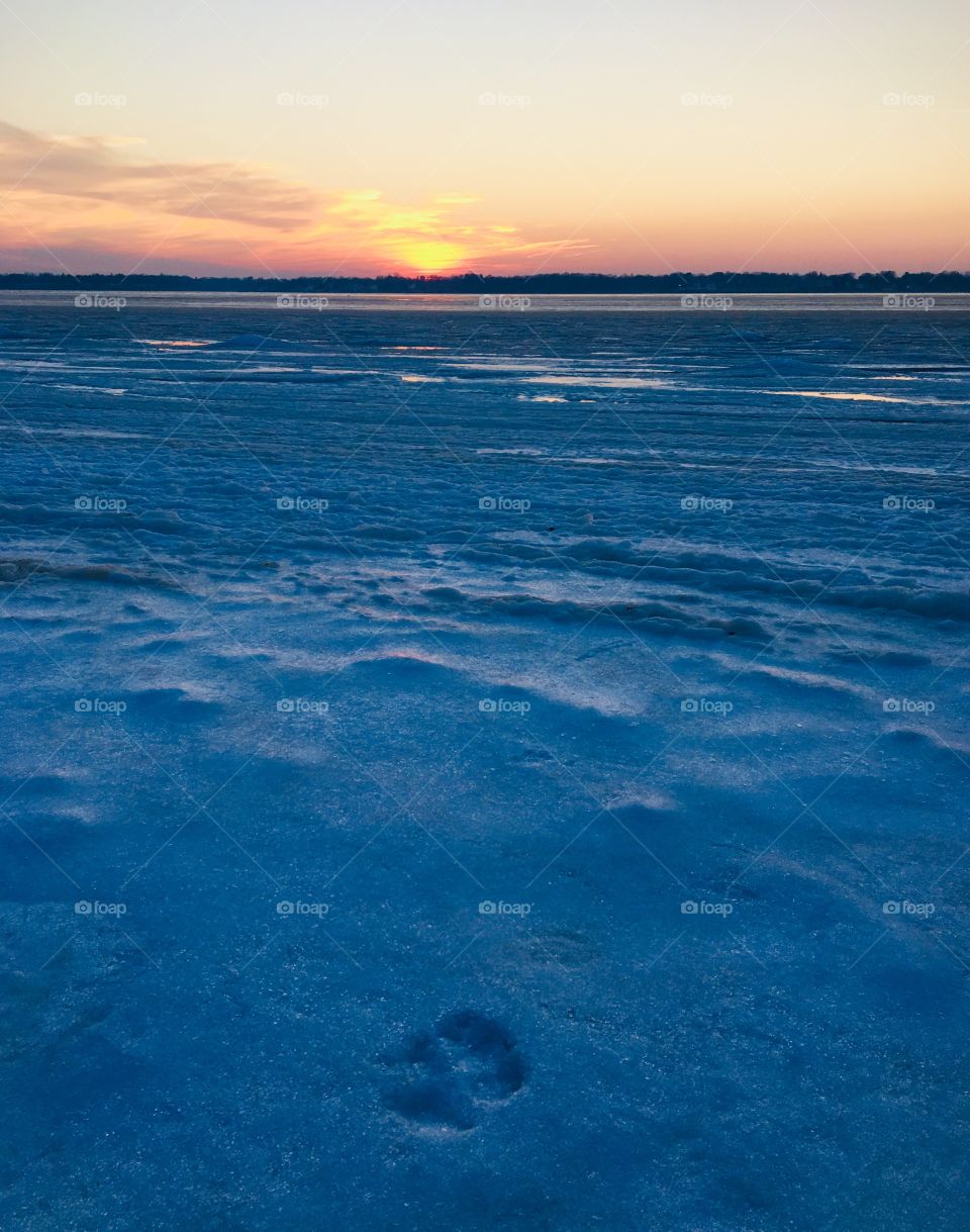 Paw print frozen in the sand 🐶