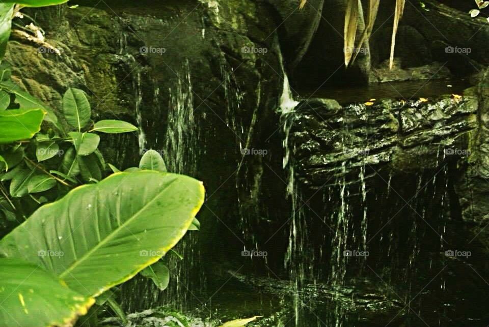 Water Fall