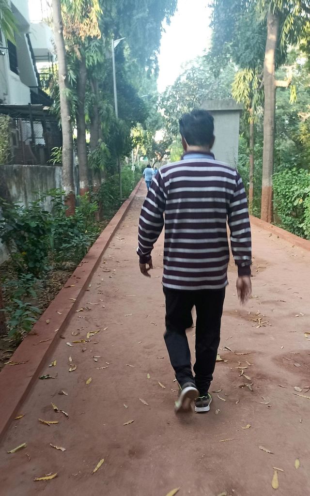 Morning Walk