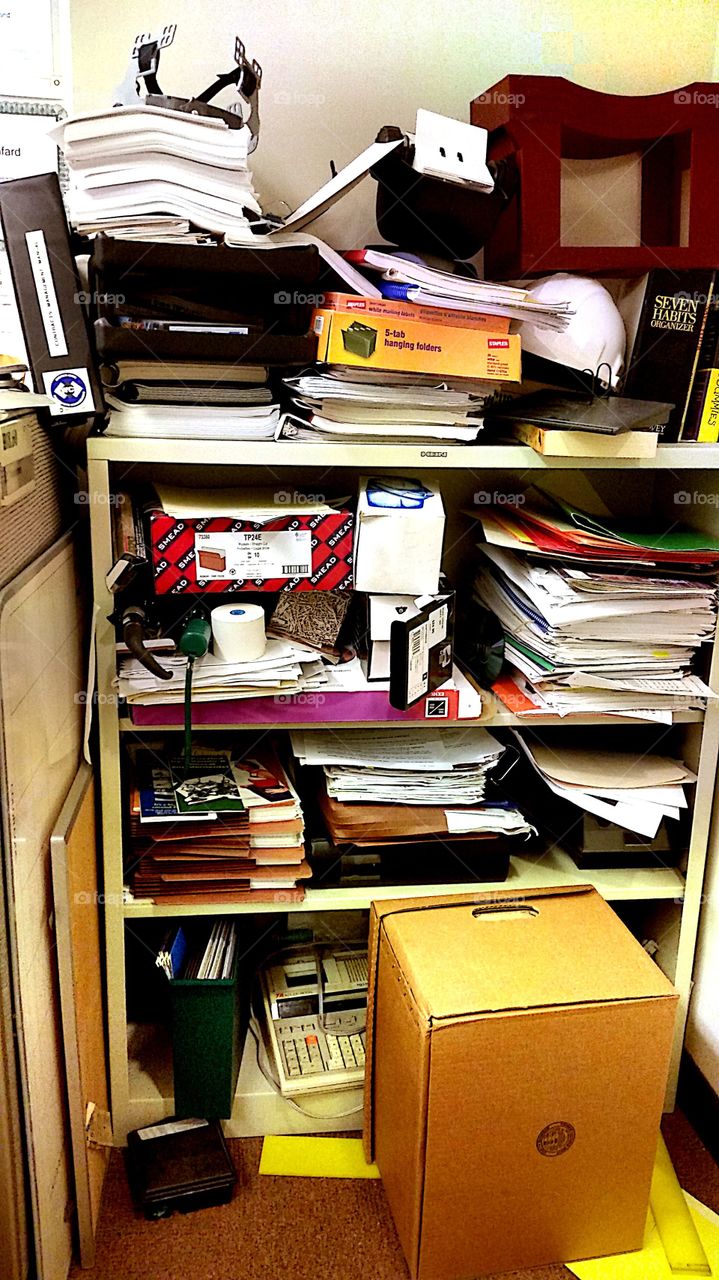 Shelf, Stock, No Person, Paper, Indoors