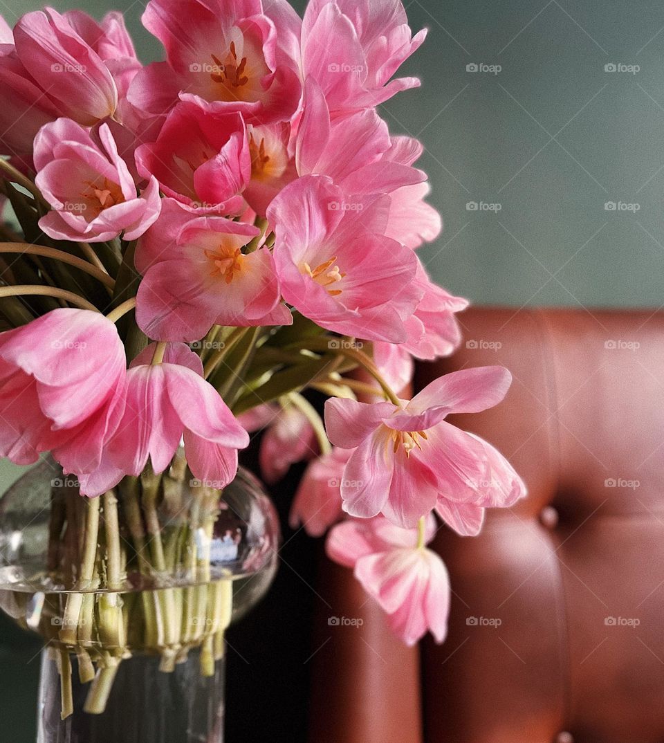 Pink tulips 