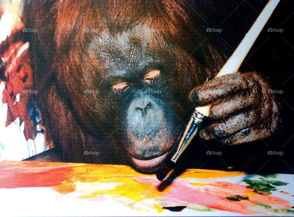Chimpanzee painting