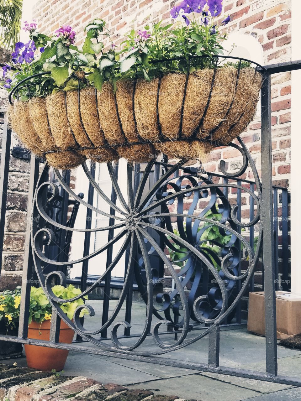 Decorative iron grate