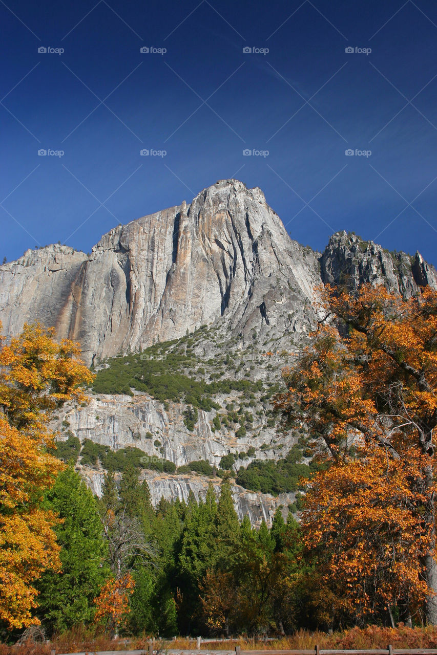 Yosemite National park in autumn