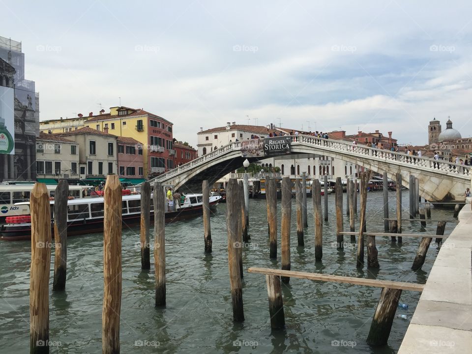 Bridge of Venice 