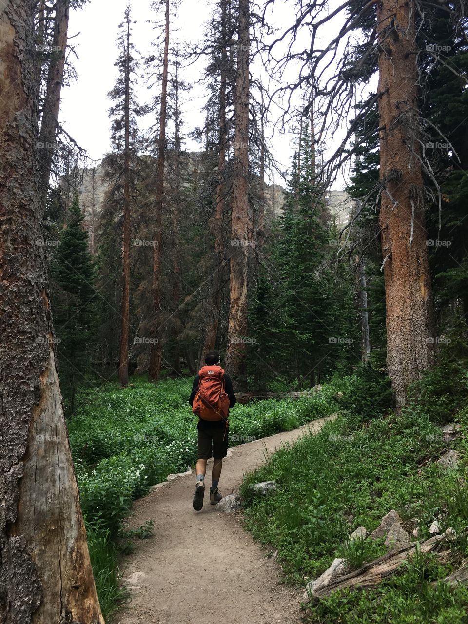 Hiker - Rocky Mountain National Park