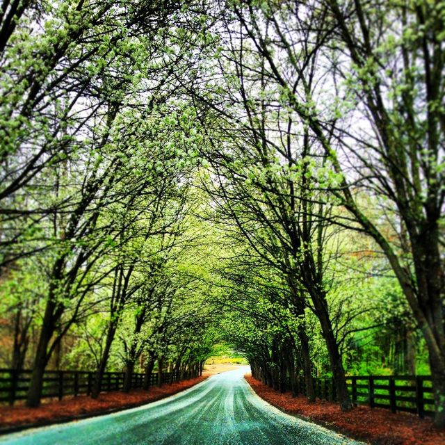 road