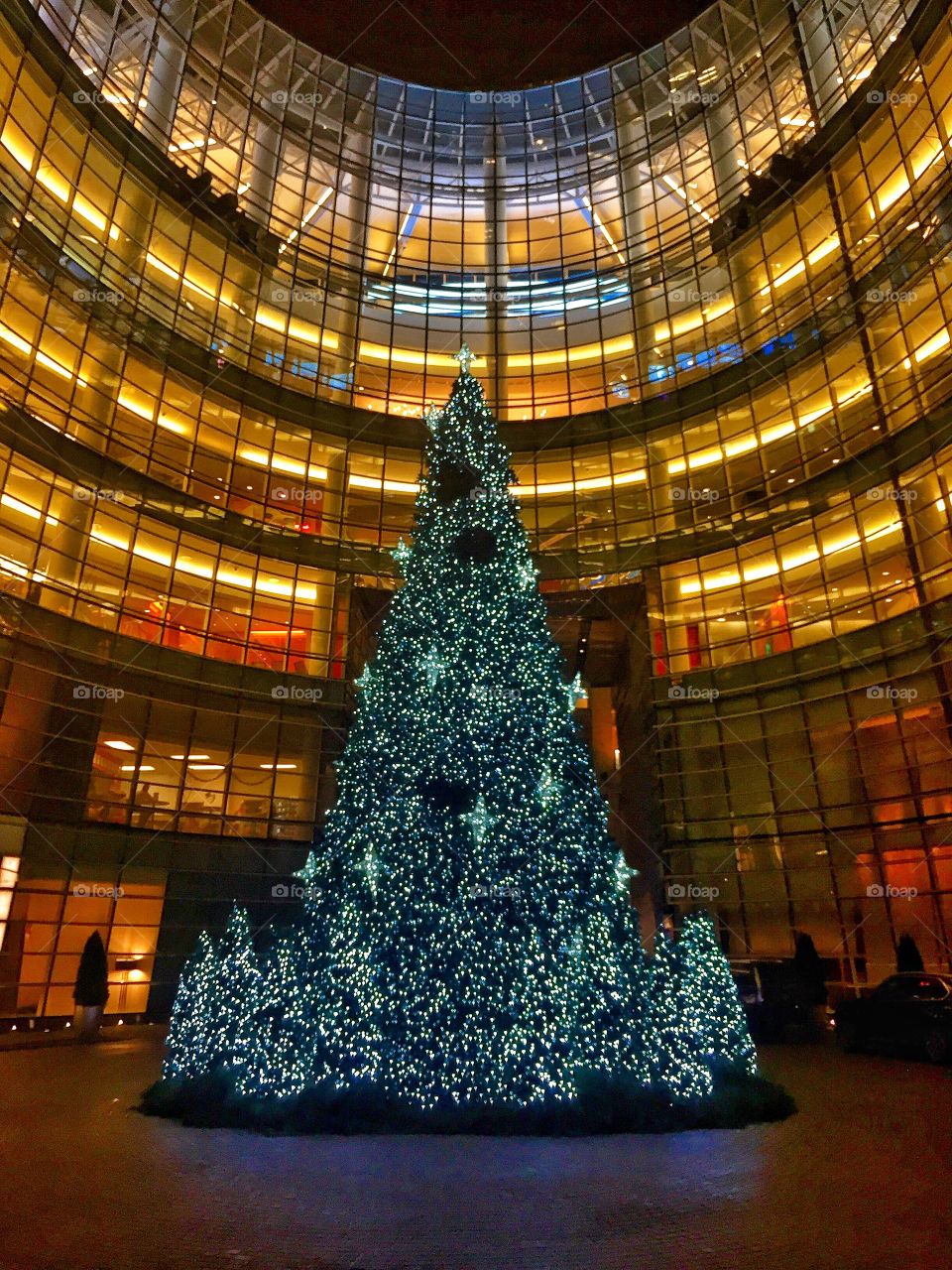Christmas Tree Lit Up, New York City 