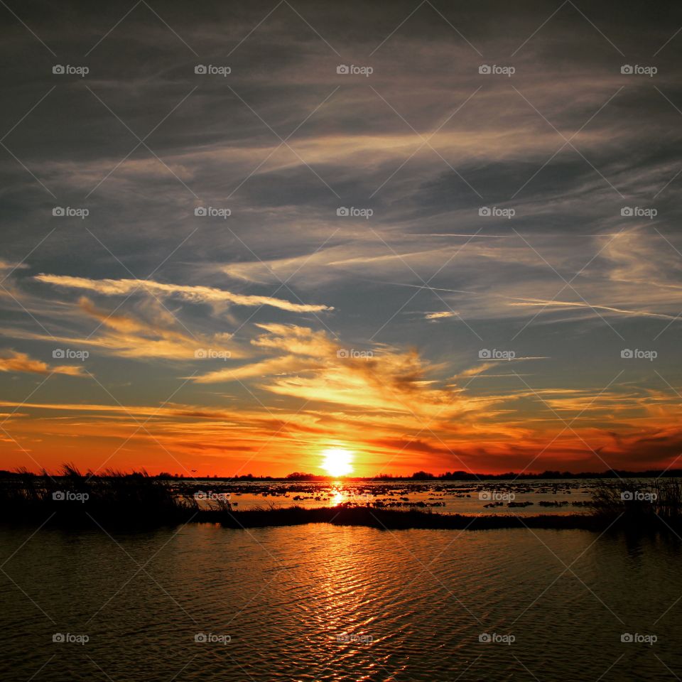 Sunset. Sunset taken on a lake in Melbourne, FL