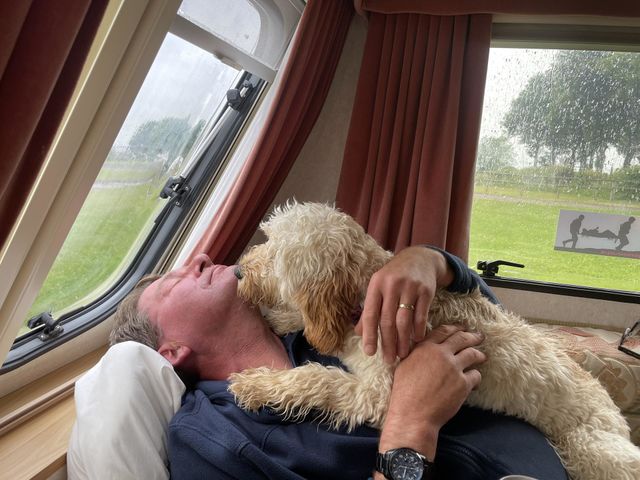 Loving Daddy 