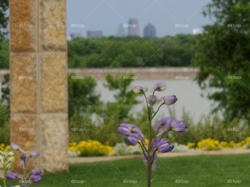 Downtown Dallas across the Lake from Arboretum