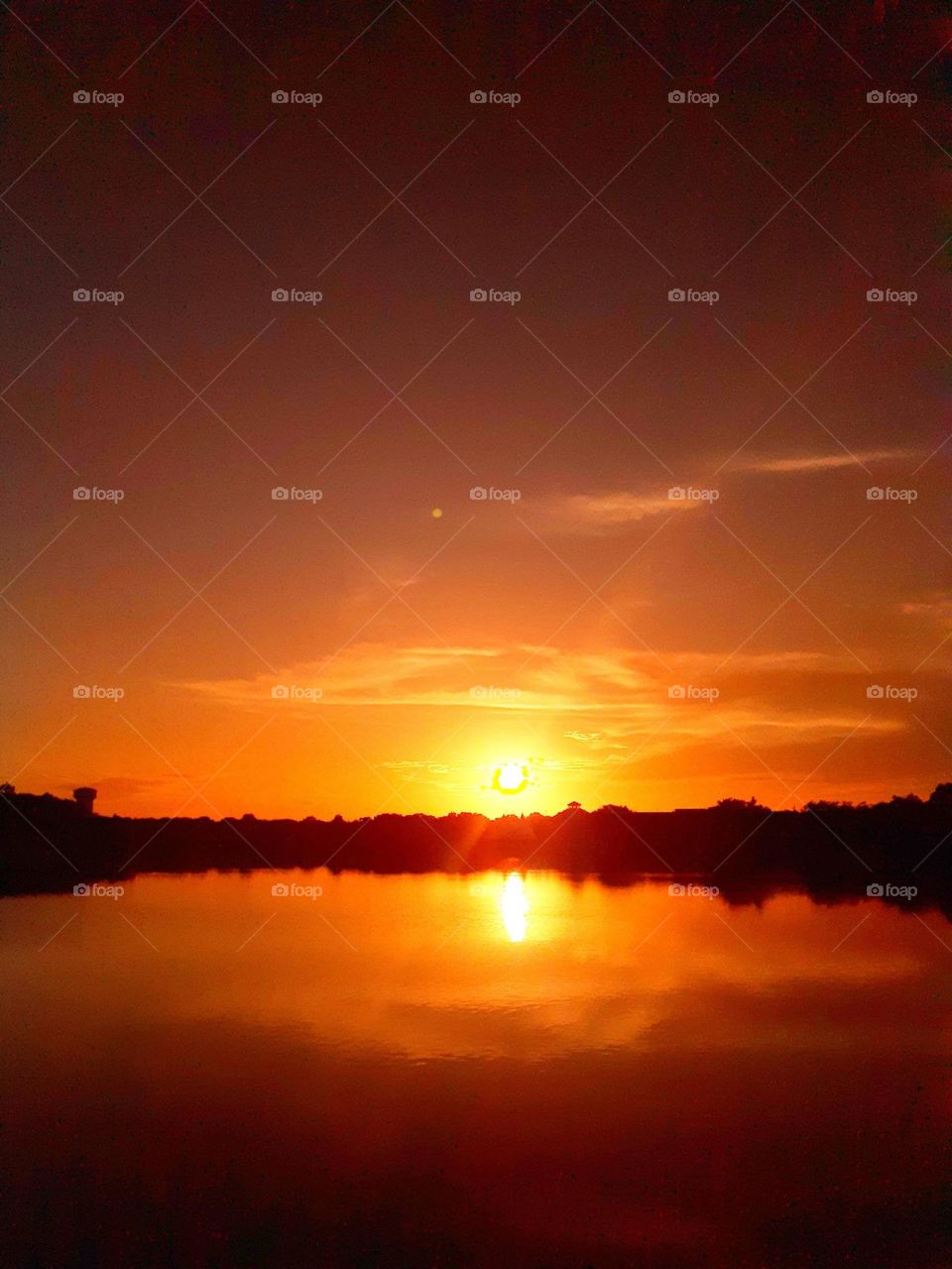 A golden and orange sunrise above the lake at Cranes Roost Park in Altamonte Springs, Florida.