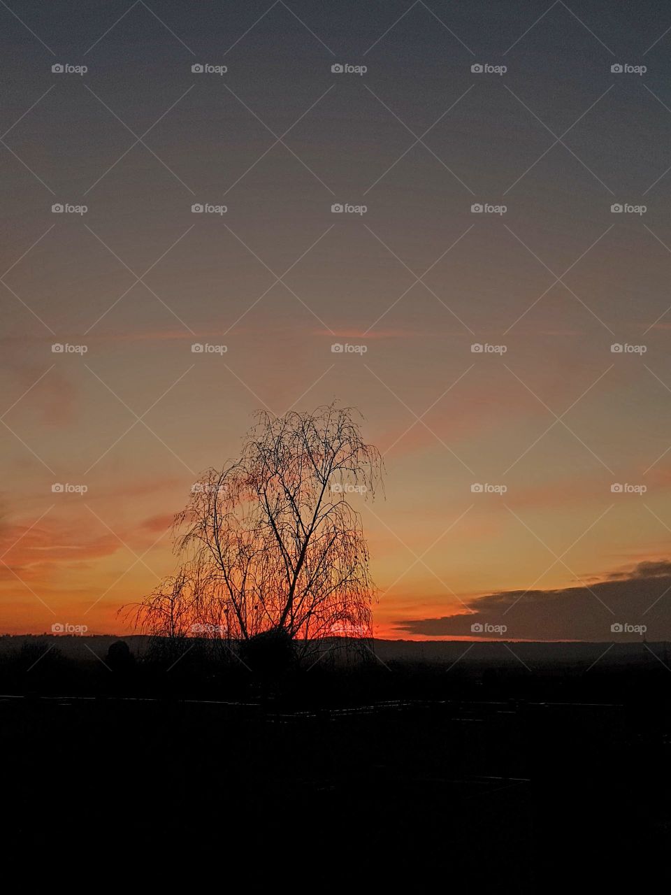 Sonnenuntergang  1.1.2017