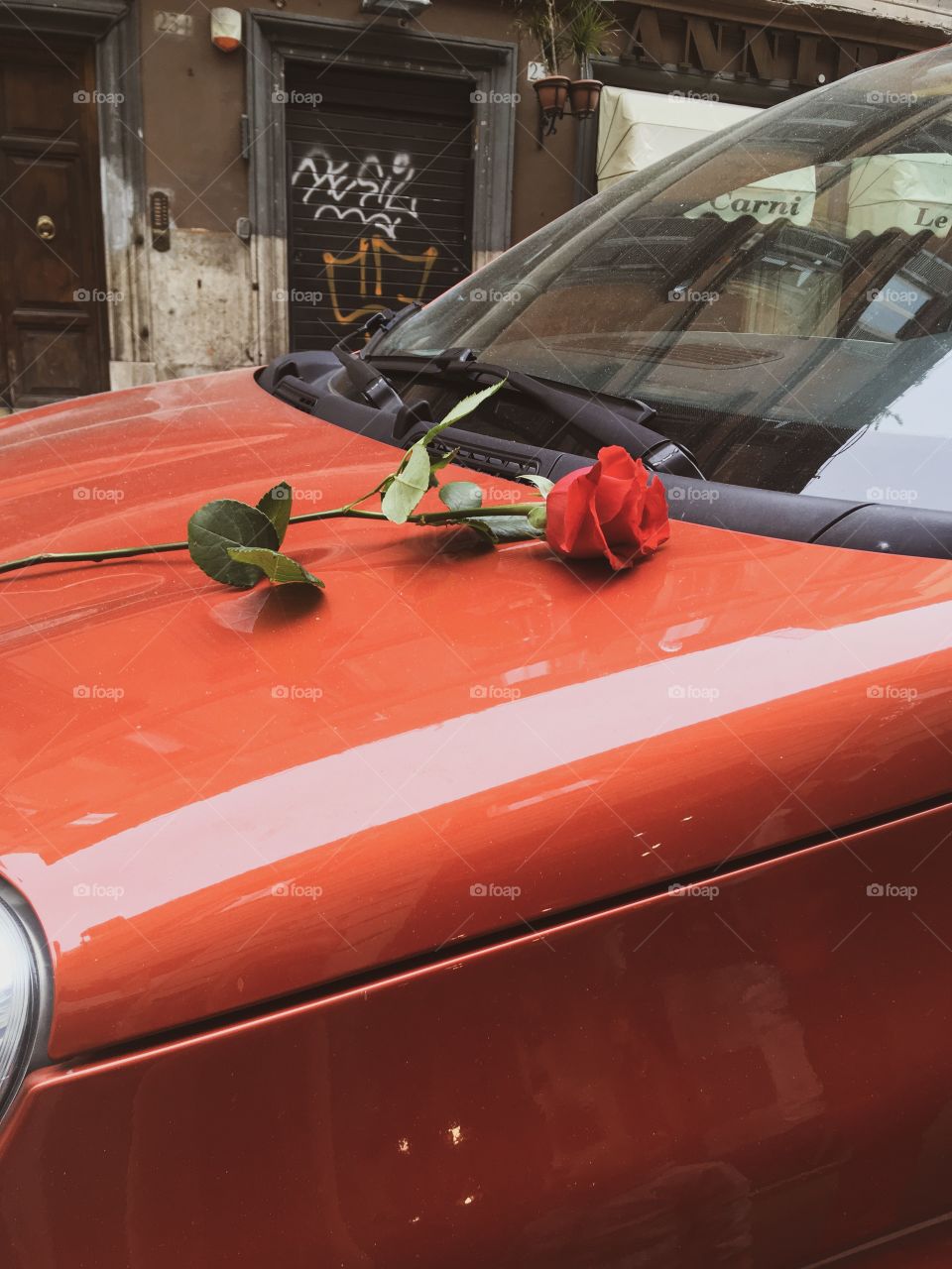 The red rose on the car bonnet. Nice symbol of love. Somewhere in Rome, Italy. 